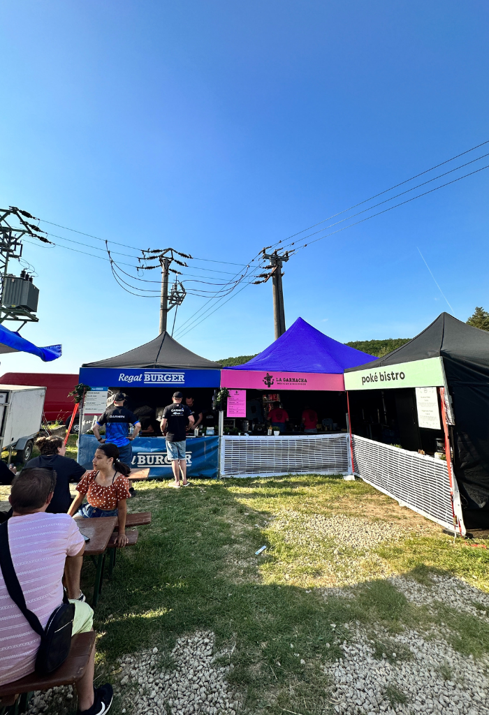 Pohoda festival
